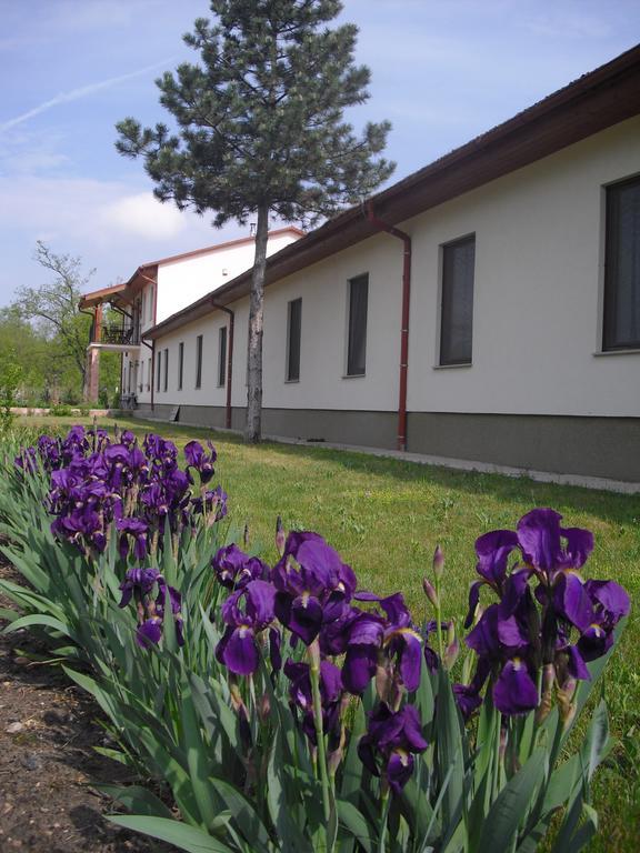 Anna Panzio Hotel Dunavarsány Exterior foto